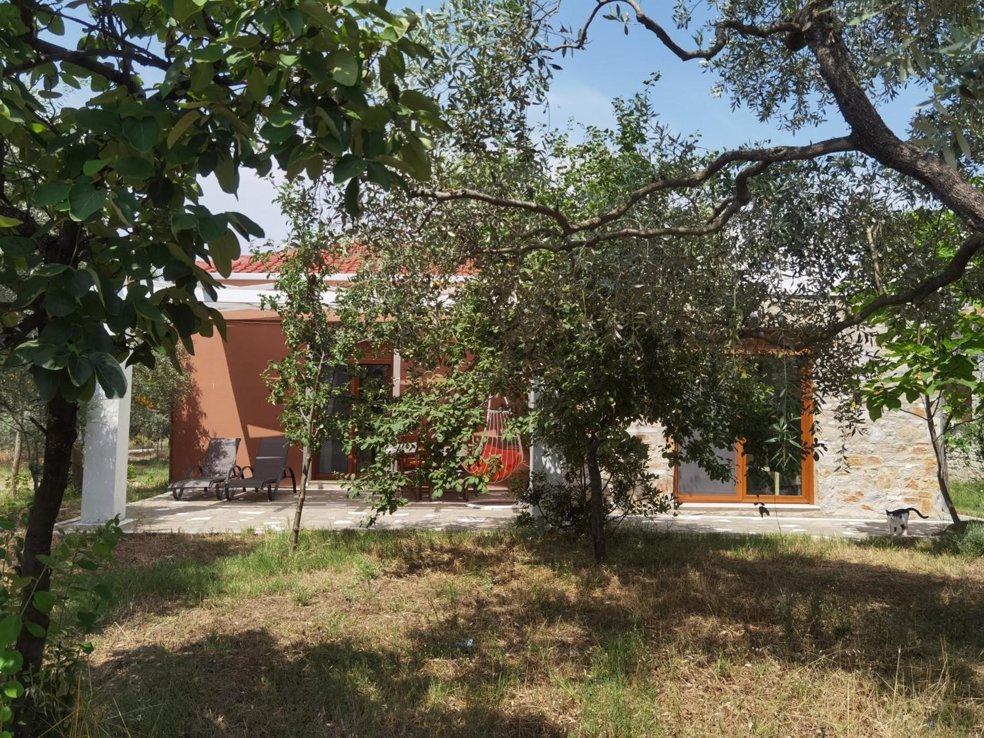 Elea Stone Houses In Organic Quiet Olive Grove, Prinos, Thassos Room photo