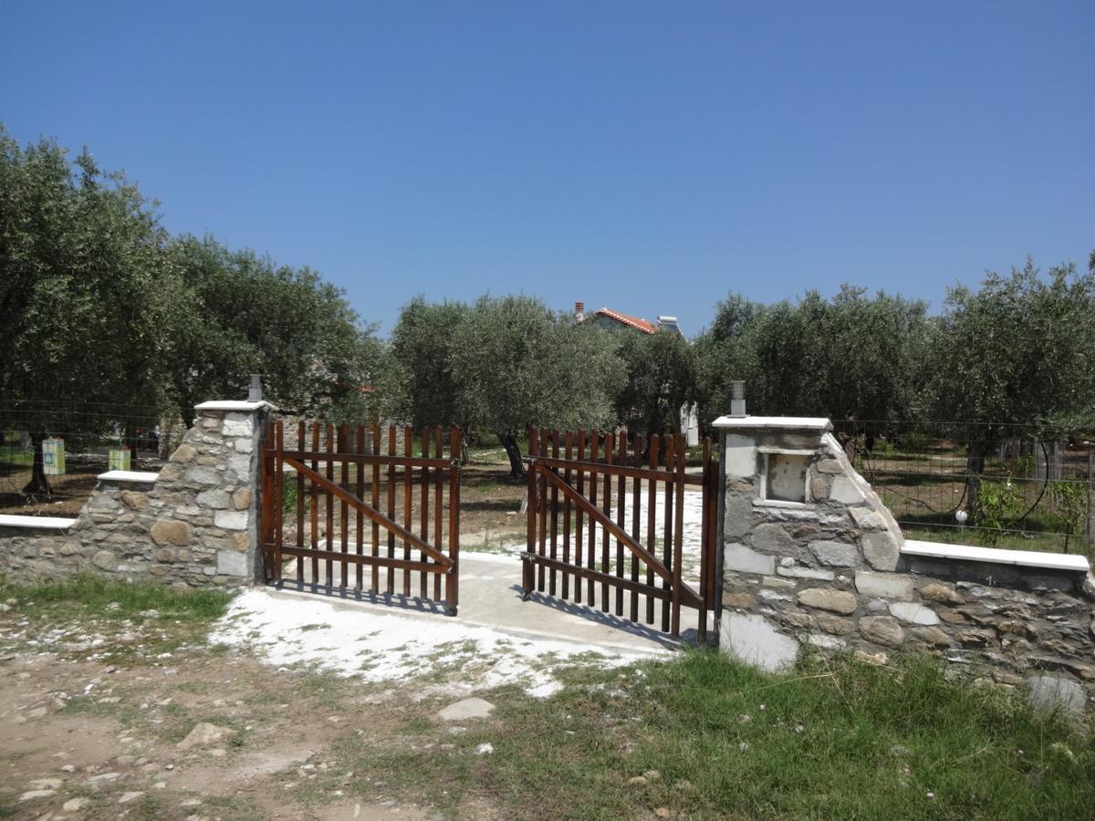 Elea Stone Houses In Organic Quiet Olive Grove, Prinos, Thassos Exterior photo